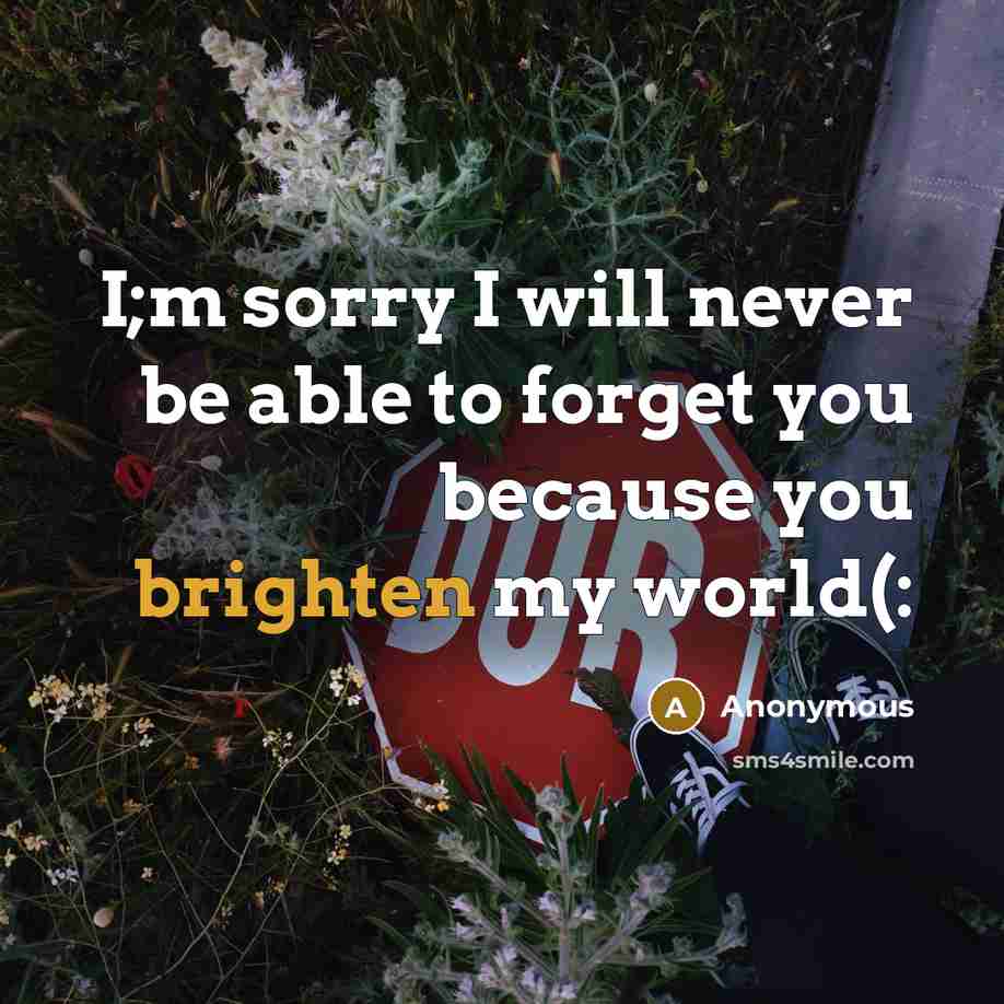 “I;m sorry I will never be able to forget you because you brighten my world(:” quote by Anonymous
