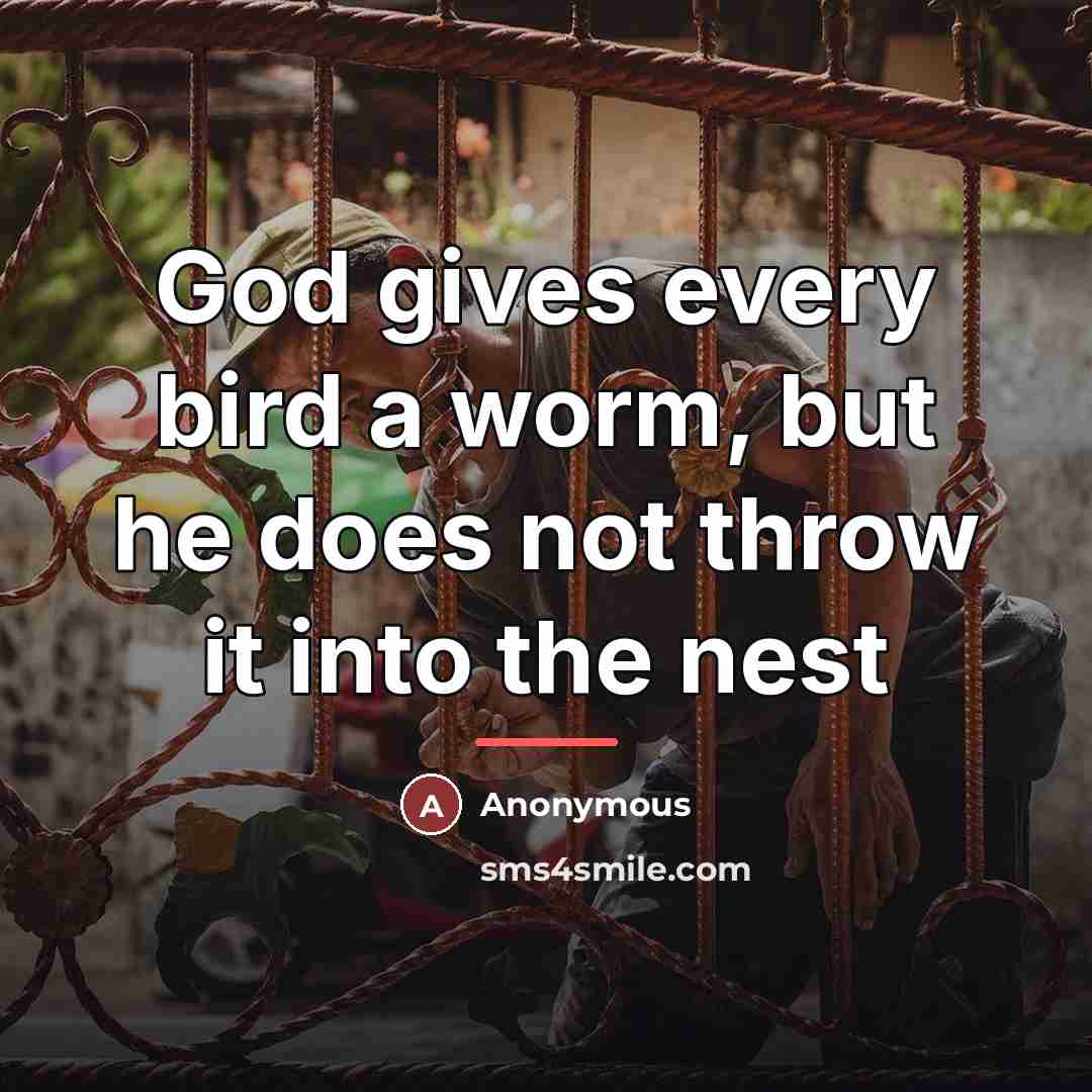 “God gives every bird a worm, but he does not…” quote by Anonymous
