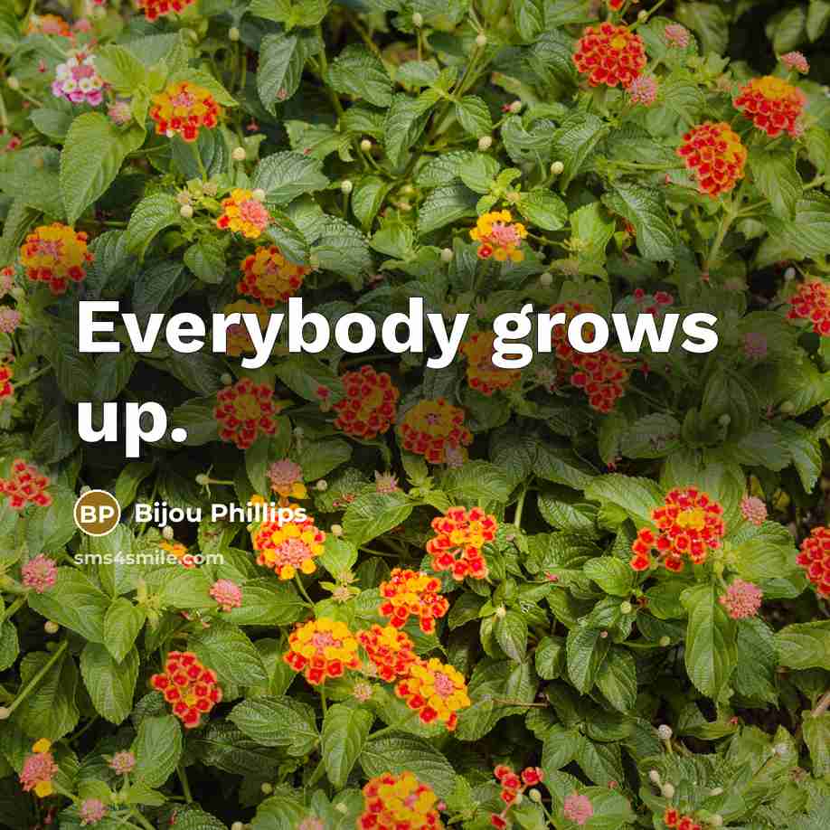“Everybody grows up.…” quote by Bijou Phillips