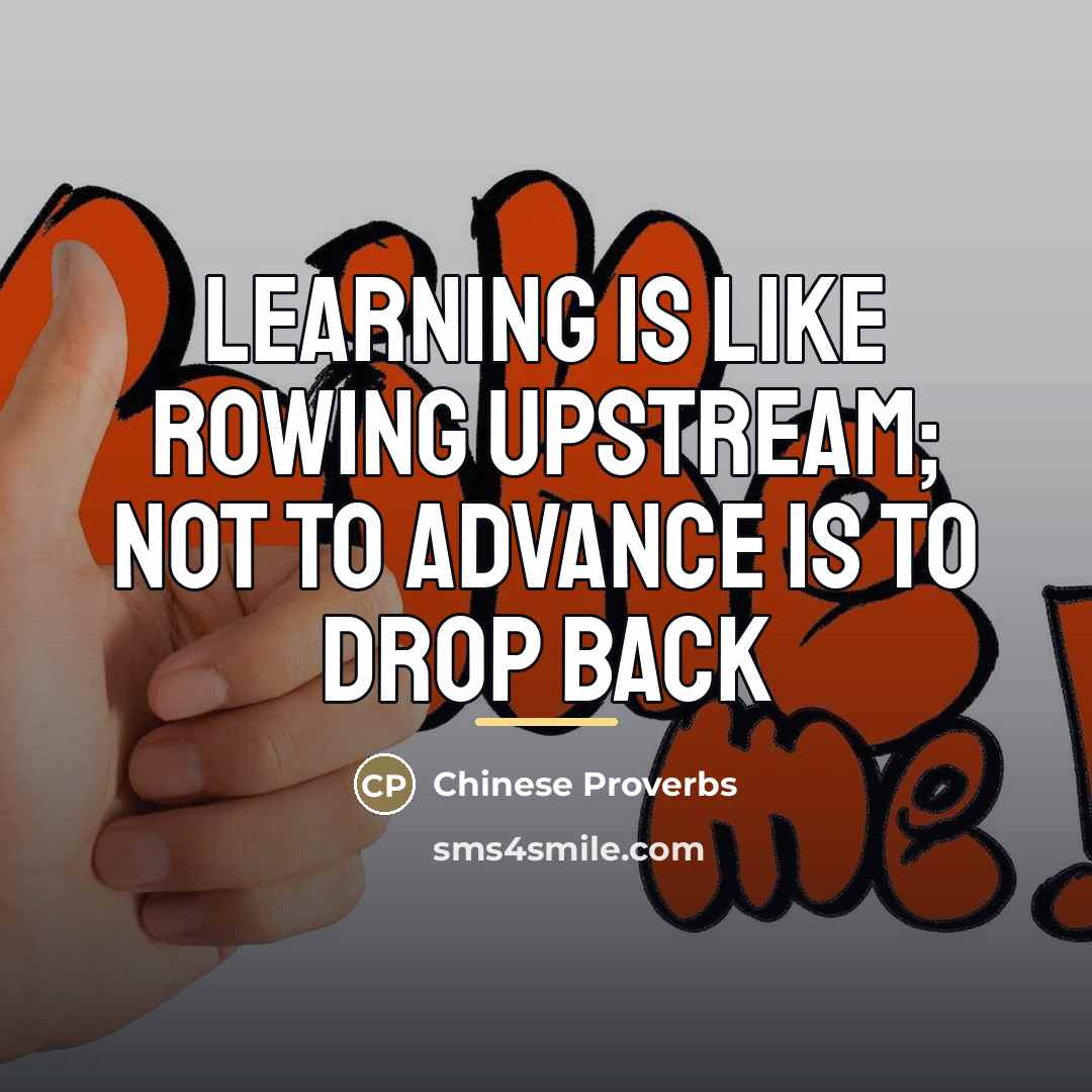 “Learning is like rowing upstream; not to advance is to…” quote by Chinese Proverbs
