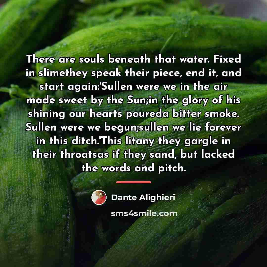 “There are souls beneath that water. Fixed in slimethey speak…” quote by Dante Alighieri