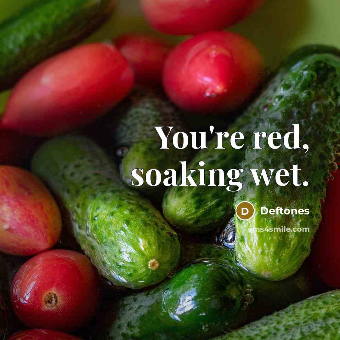 “You're red, soaking wet.…” quote by Deftones