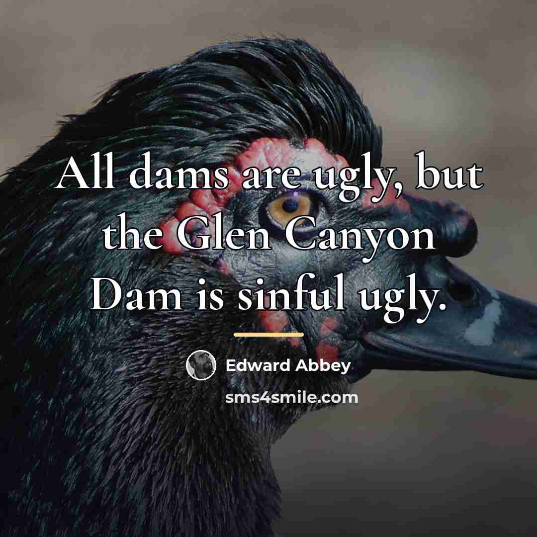 “All dams are ugly, but the Glen Canyon Dam is…” quote by Edward Abbey