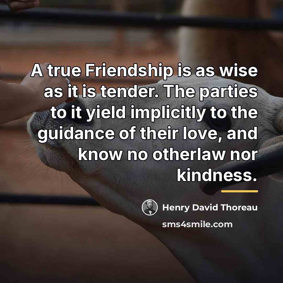 “A true Friendship is as wise as it is tender.…” quote by Henry David Thoreau