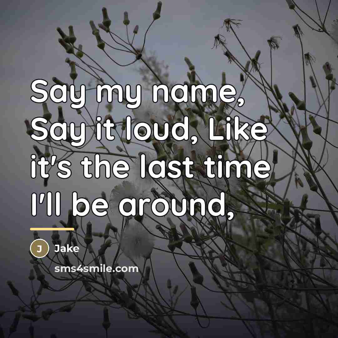 “Say my name, Say it loud, Like it's the last…” quote by Jake