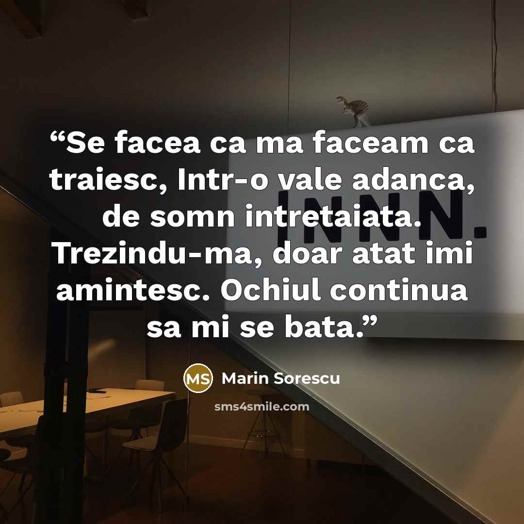 “Se facea ca ma faceam ca traiesc, Intr-o vale adanca, de somn intretaiata. Trezindu-ma, doar atat imi amintesc. Ochiul continua sa mi se bata.” quote by Marin Sorescu