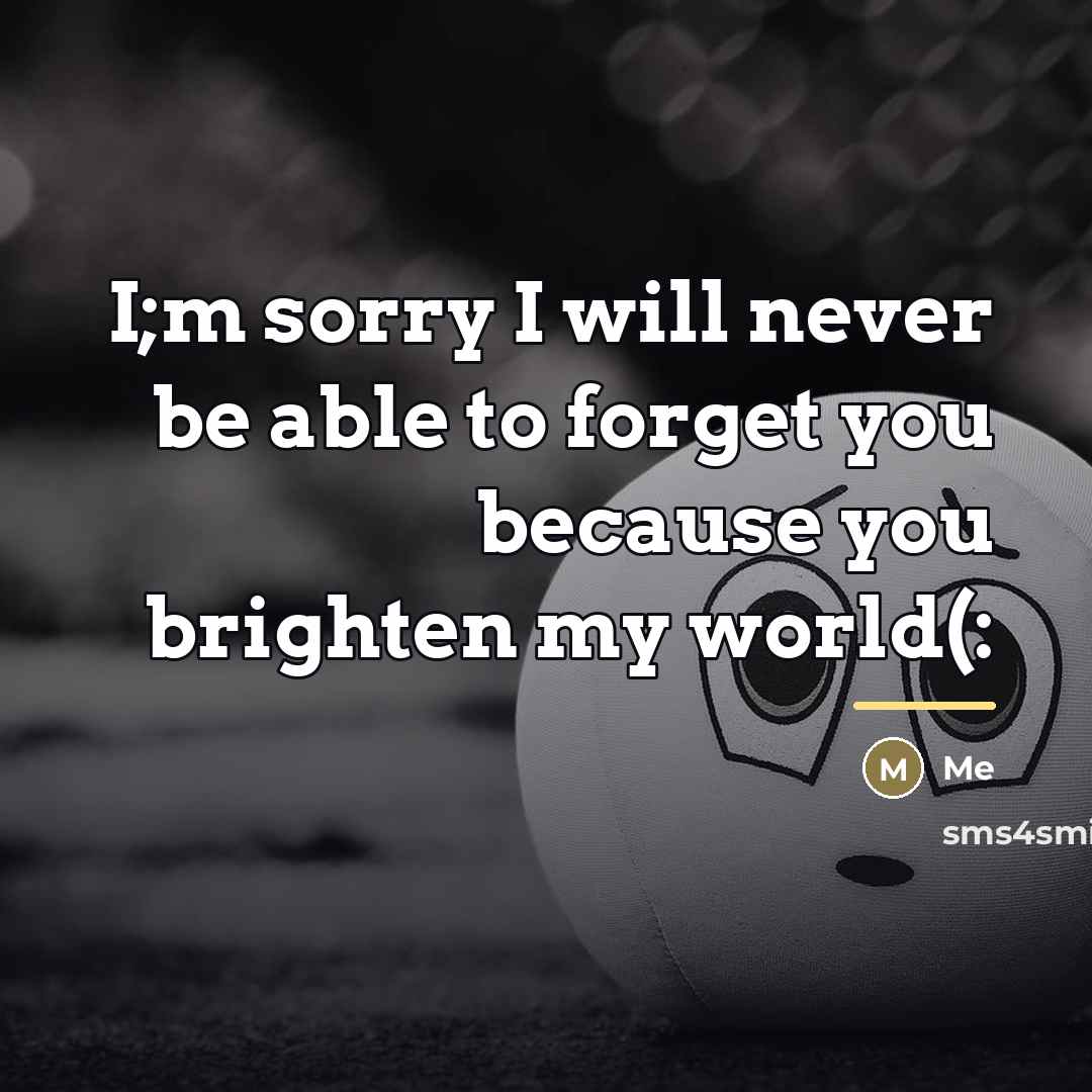 “I;m sorry I will never be able to forget you…” quote by Me