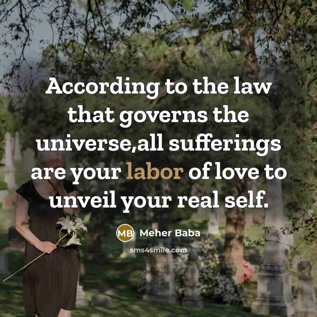 “According to the law that governs the universe,all sufferings are…” quote by Meher Baba