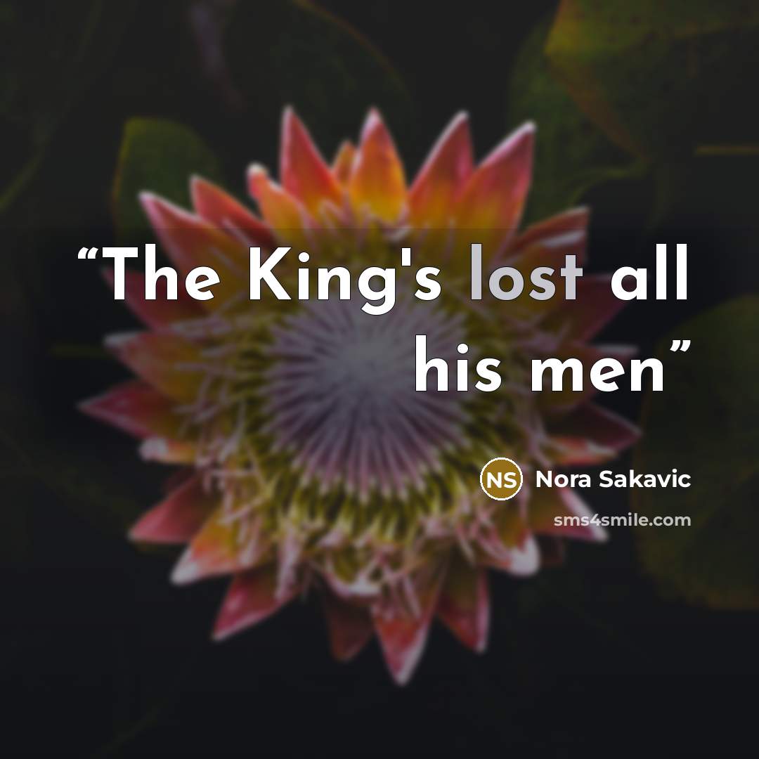 “The King's lost all his men” quote by Nora Sakavic