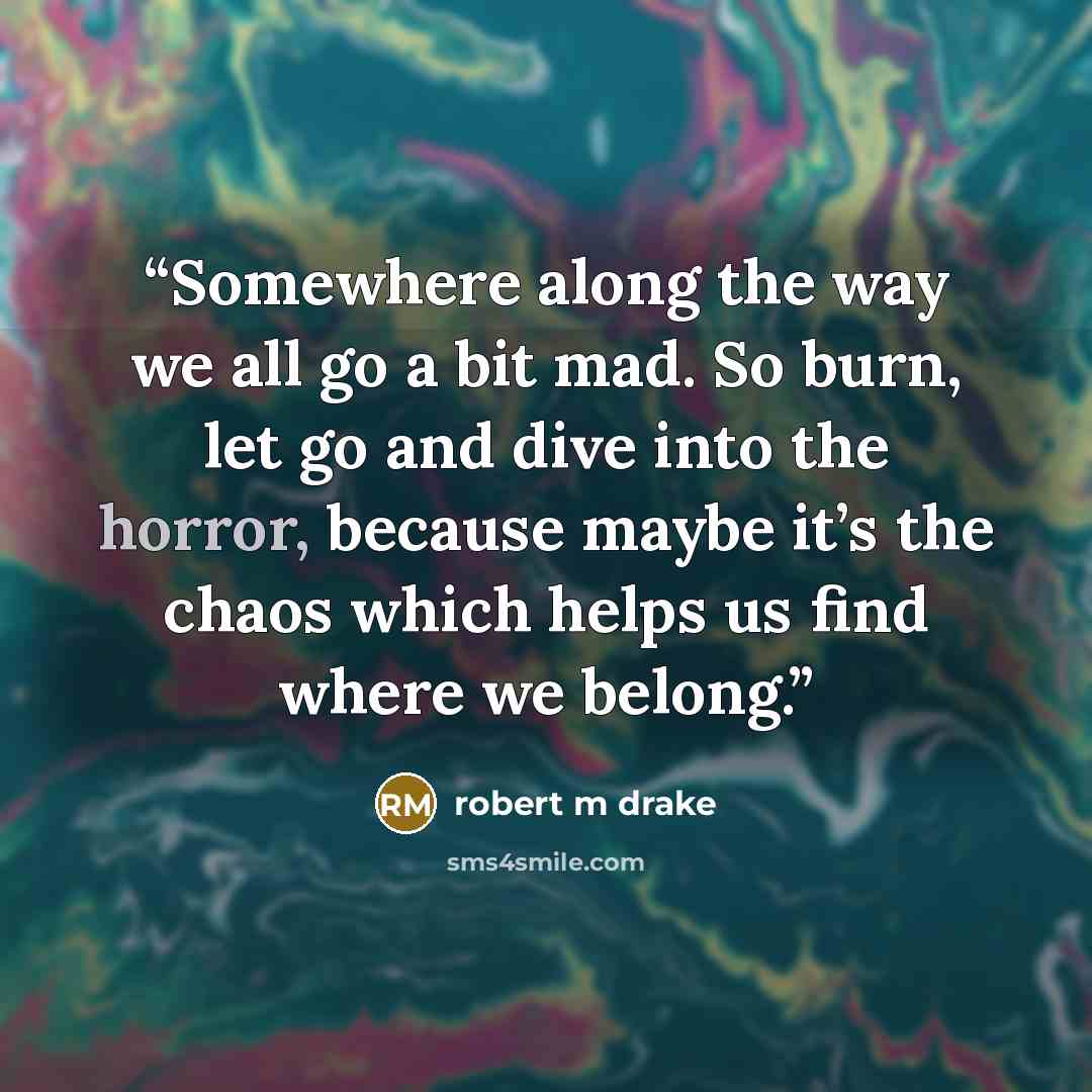 “Somewhere along the way we all go a bit mad. So burn, let go and dive into the horror, because maybe it’s the chaos which helps us find where we belong.” quote by robert m drake