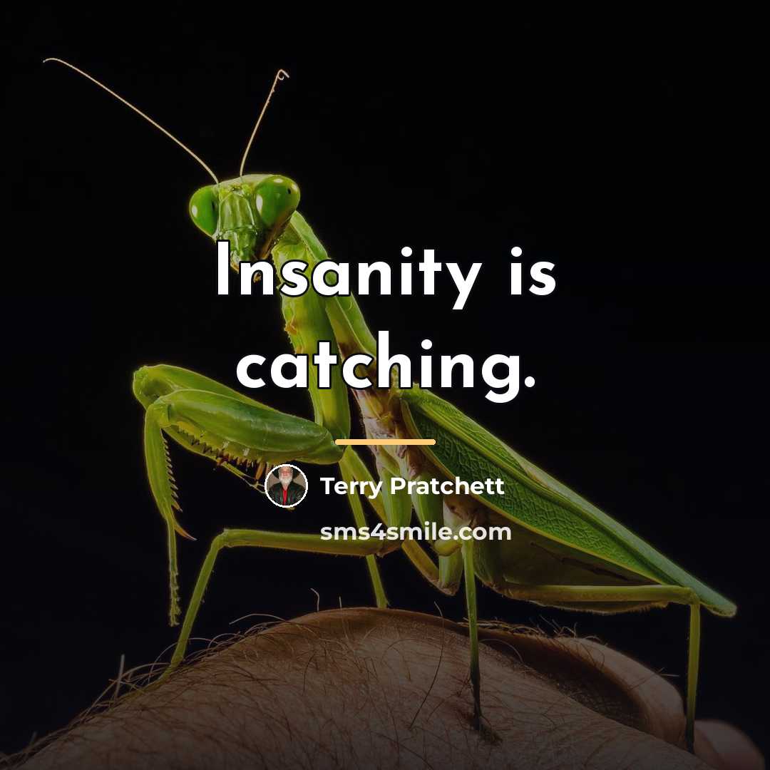 “Insanity is catching.…” quote by Terry Pratchett