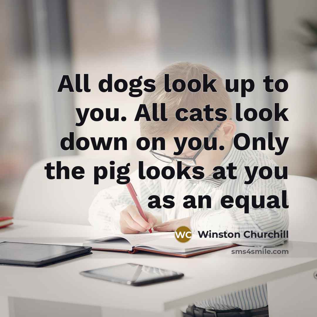 “All dogs look up to you. All cats look down…” quote by Winston Churchill