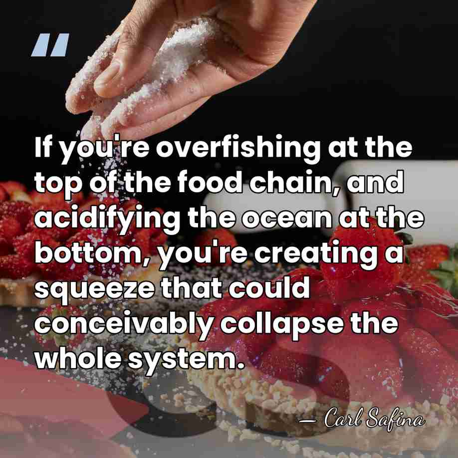 If you're overfishing at the top of the food chain, and acidifying&hellip; - Carl Safina