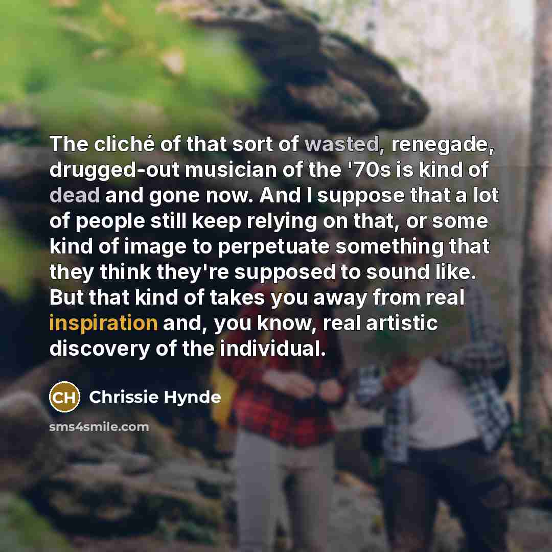 “The cliché of that sort of wasted, renegade, drugged-out musician…” quote by Chrissie Hynde