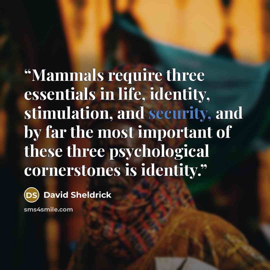 “Mammals require three essentials in life, identity, stimulation, and security, and by far the most important of these three psychological cornerstones is identity.” quote by David Sheldrick