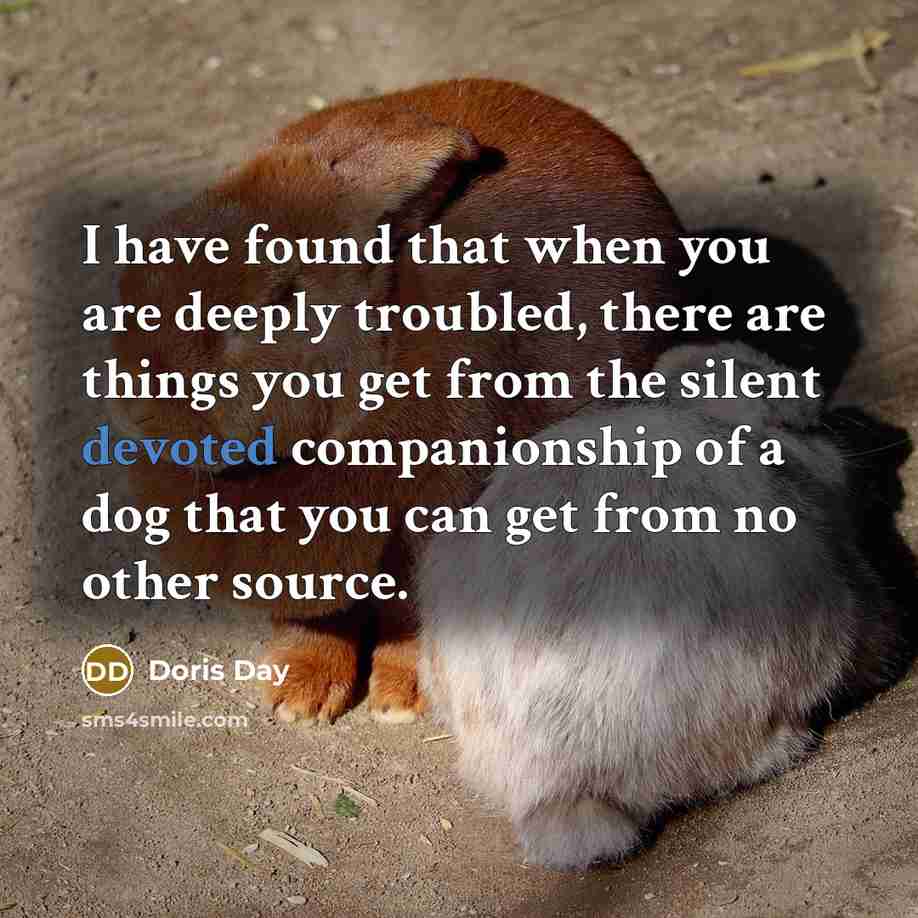 “I have found that when you are deeply troubled, there…” quote by Doris Day