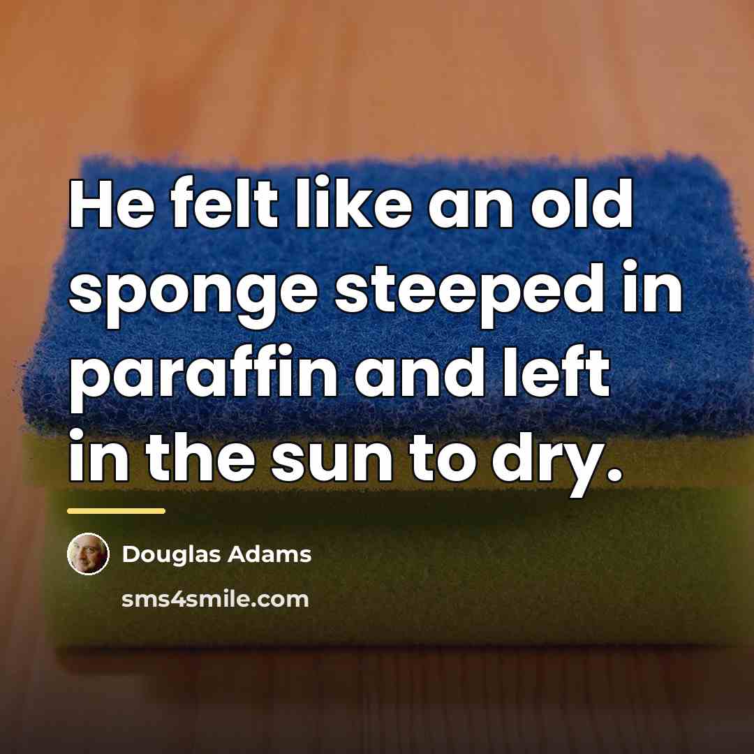“He felt like an old sponge steeped in paraffin and…” quote by Douglas Adams