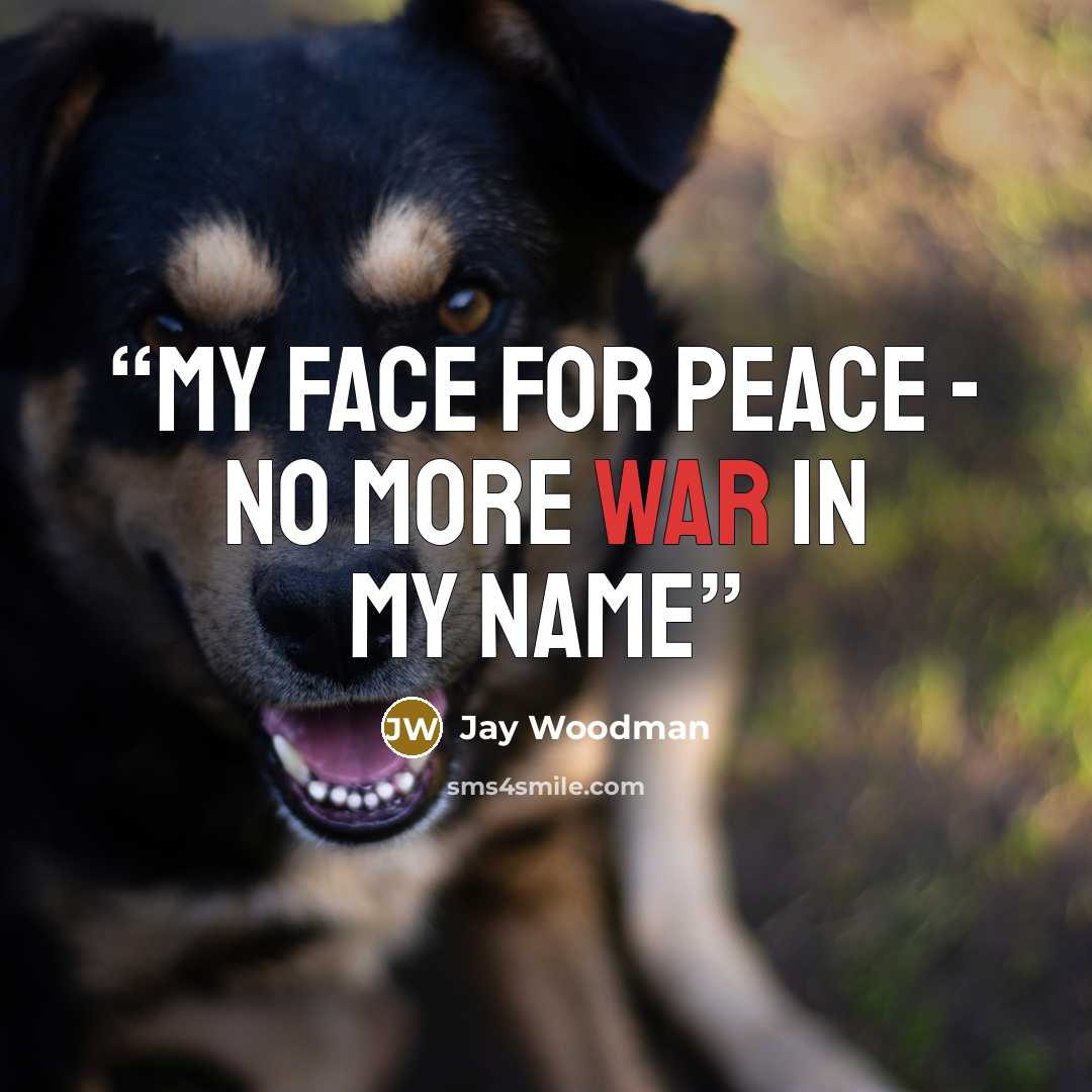 “my face for peace - no more war in my name” quote by Jay Woodman