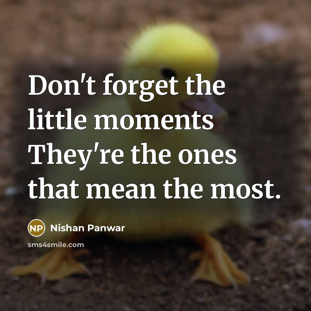 “Don`t forget the little moments They`re the ones that mean…” quote by Nishan Panwar