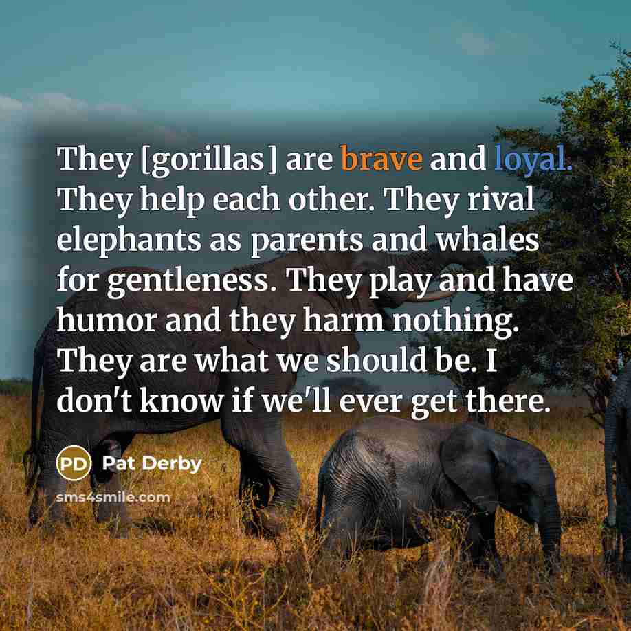 “They [gorillas] are brave and loyal. They help each other.…” quote by Pat Derby