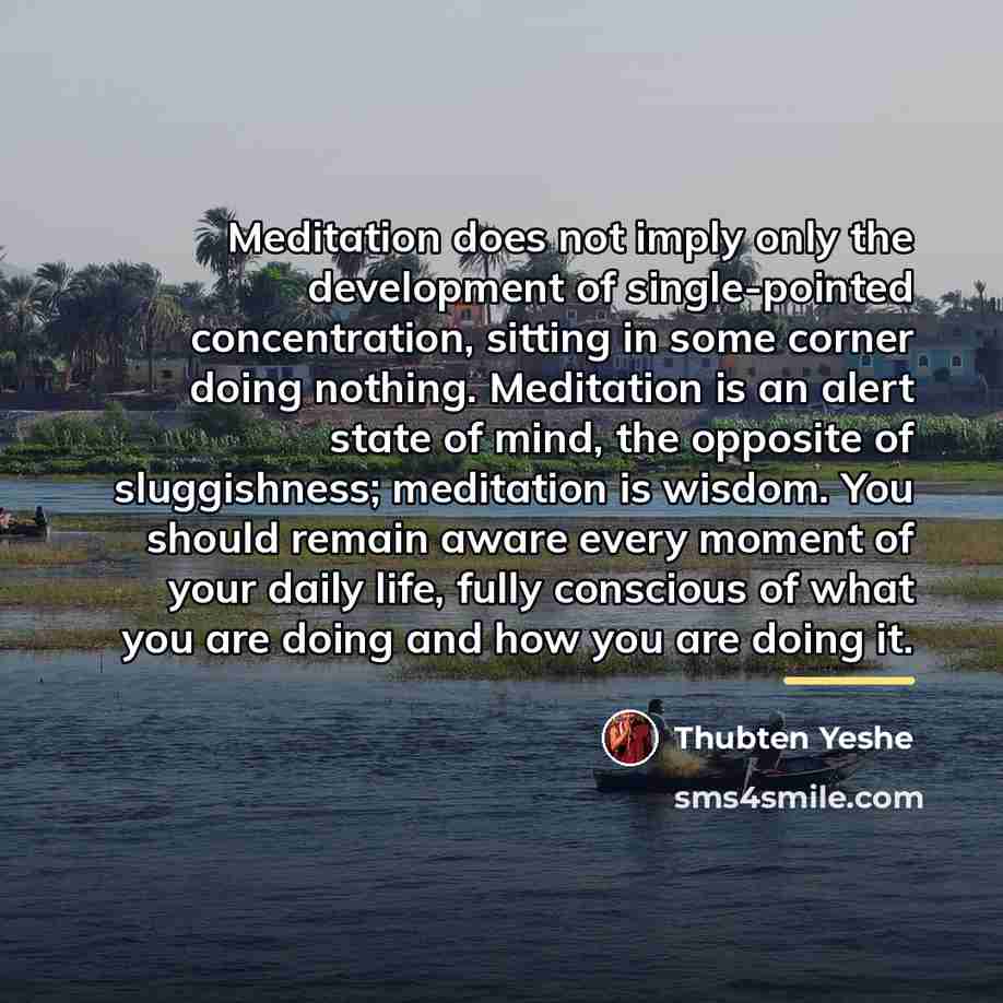 “Meditation does not imply only the development of single-pointed concentration,…” quote by Thubten Yeshe