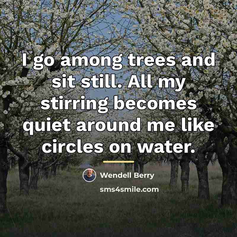 “I go among trees and sit still. All my stirring…” quote by Wendell Berry