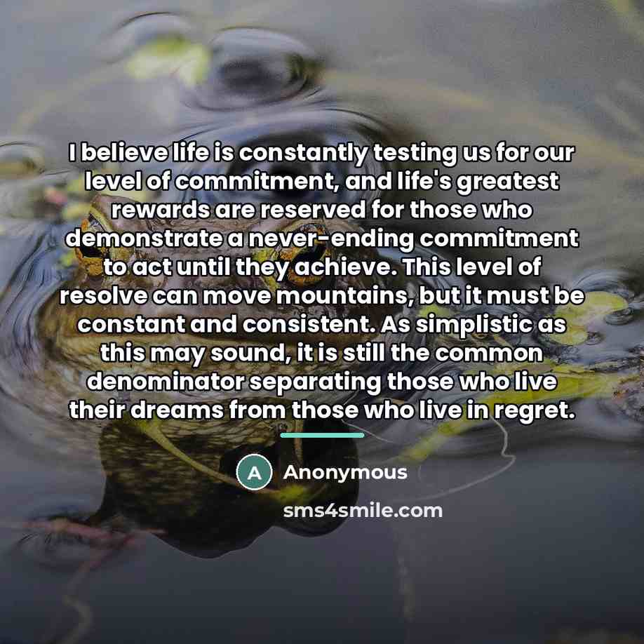 “I believe life is constantly testing us for our level…” quote by Anonymous
