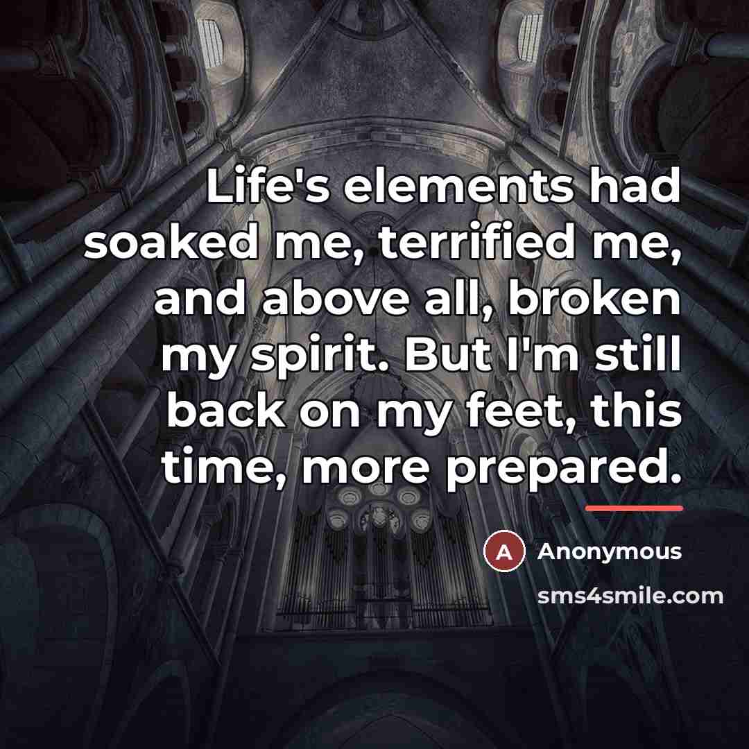 “Life's elements had soaked me, terrified me, and above all,…” quote by Anonymous
