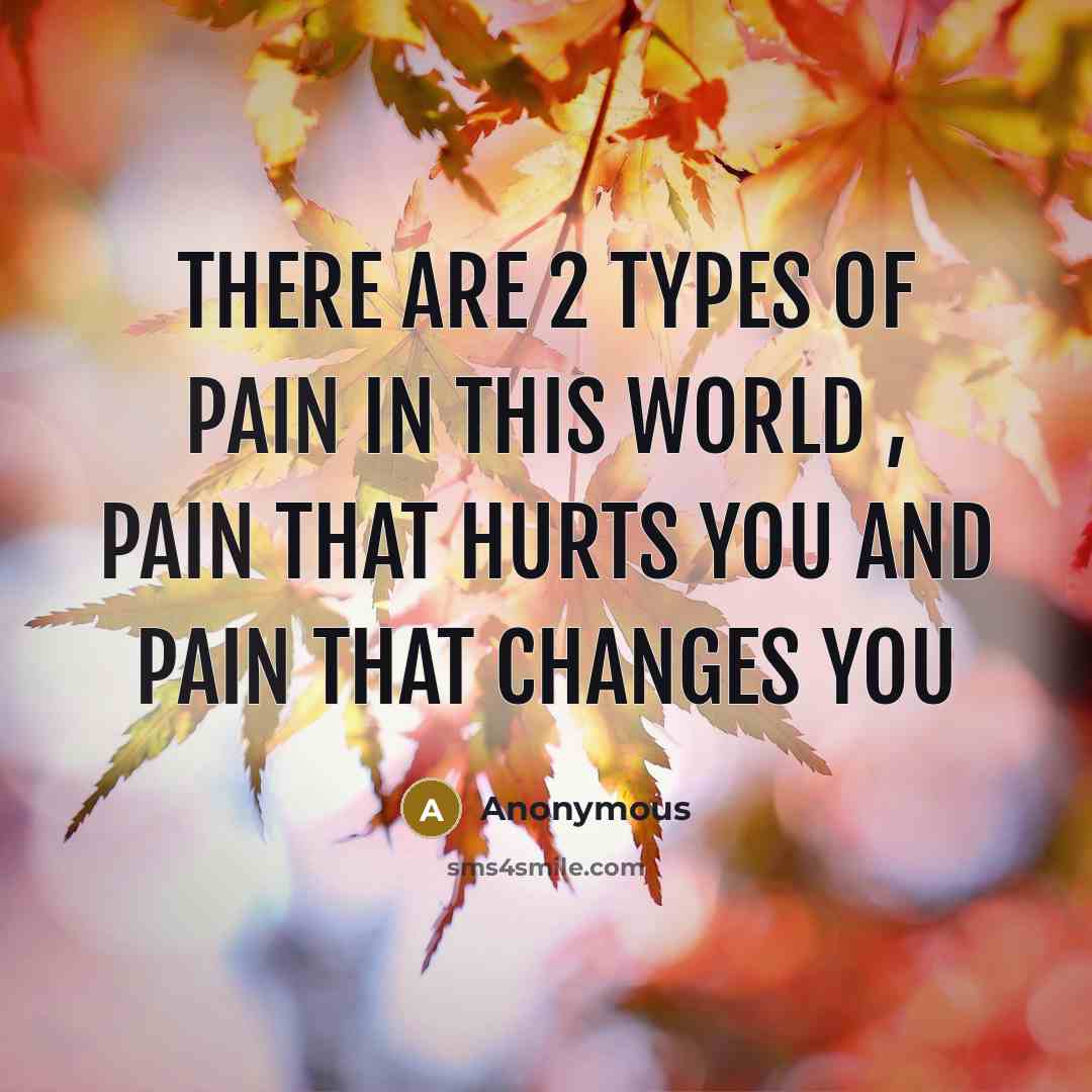 “There are 2 types of pain in this world ,…” quote by Anonymous