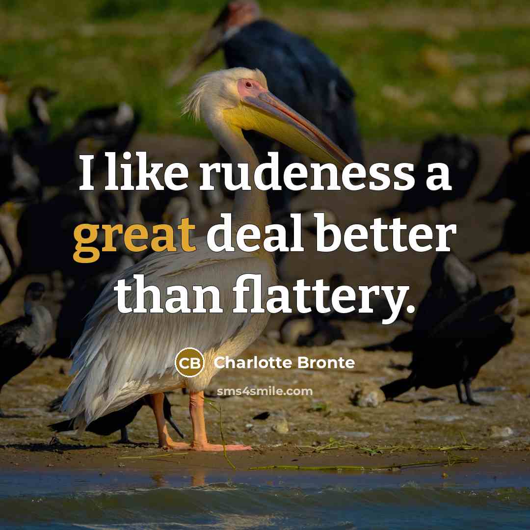 “I like rudeness a great deal better than flattery.…” quote by Charlotte Bronte