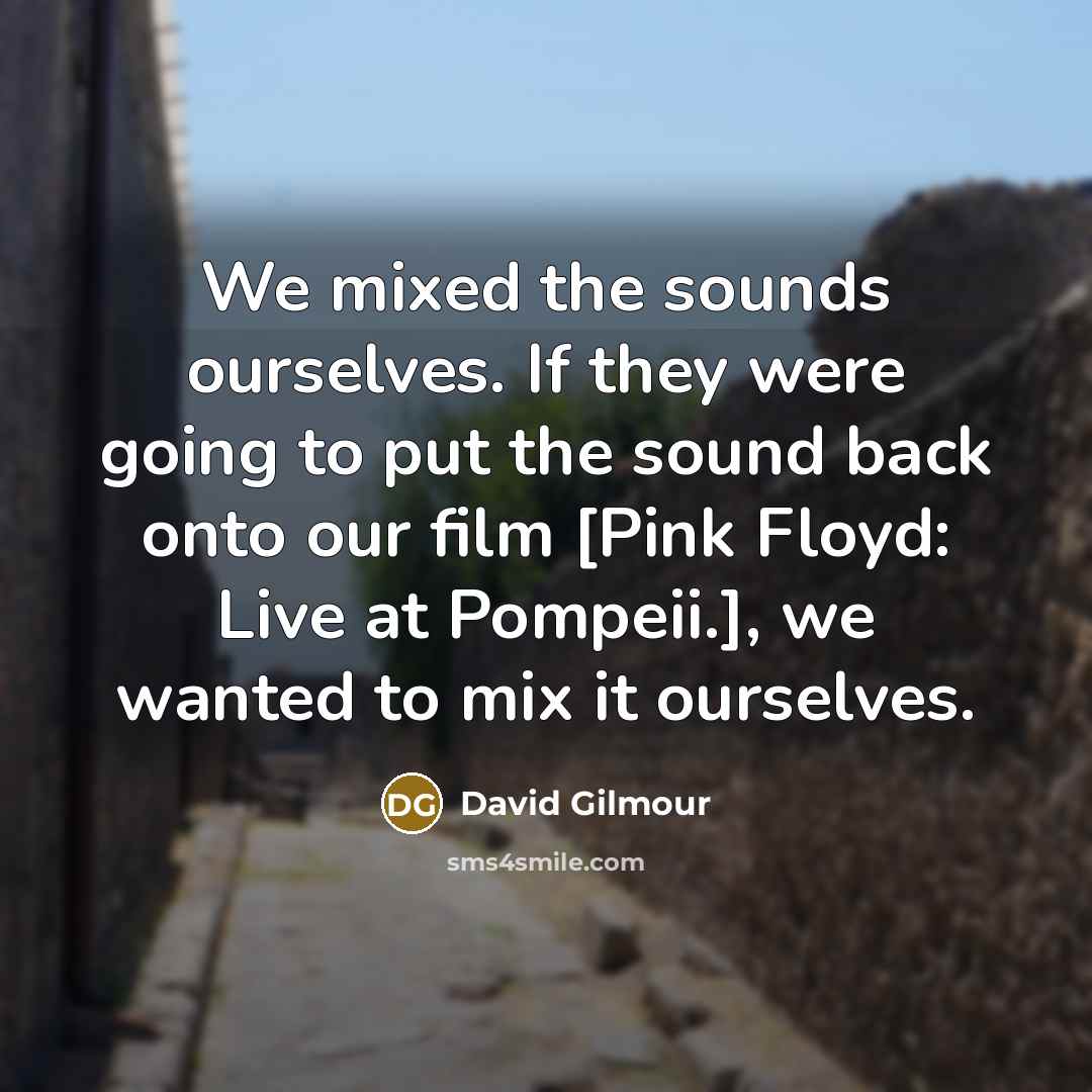 “We mixed the sounds ourselves. If they were going to…” quote by David Gilmour