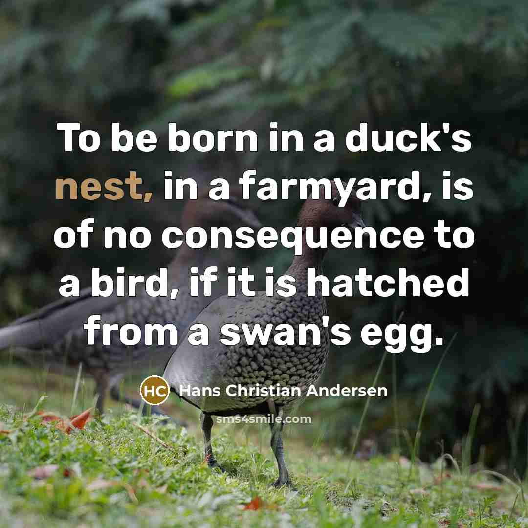 “To be born in a duck's nest, in a farmyard,…” quote by Hans Christian Andersen