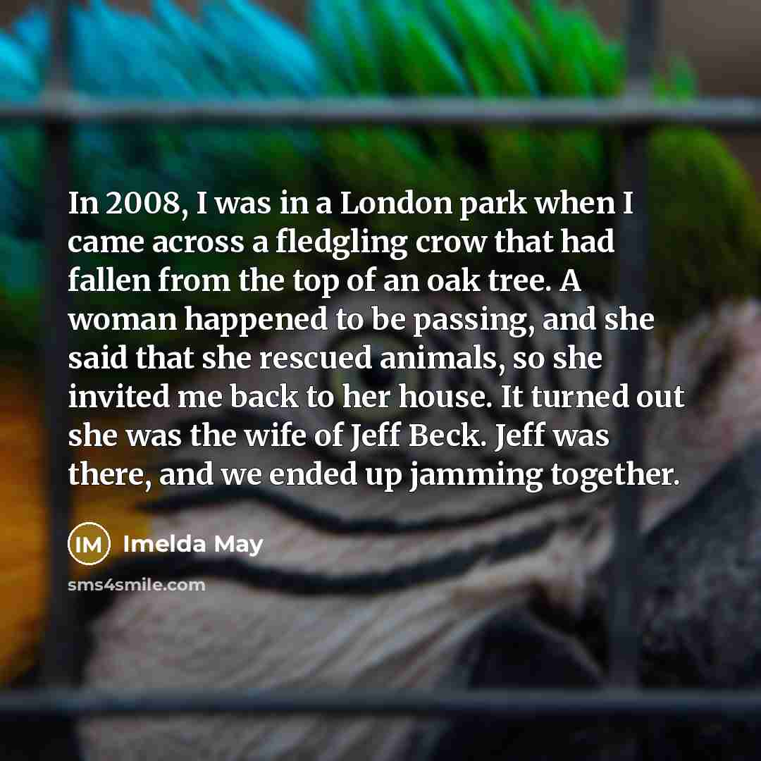 “In 2008, I was in a London park when I…” quote by Imelda May