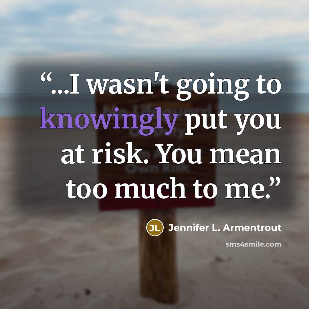 “...I wasn't going to knowingly put you at risk. You mean too much to me.” quote by Jennifer L. Armentrout