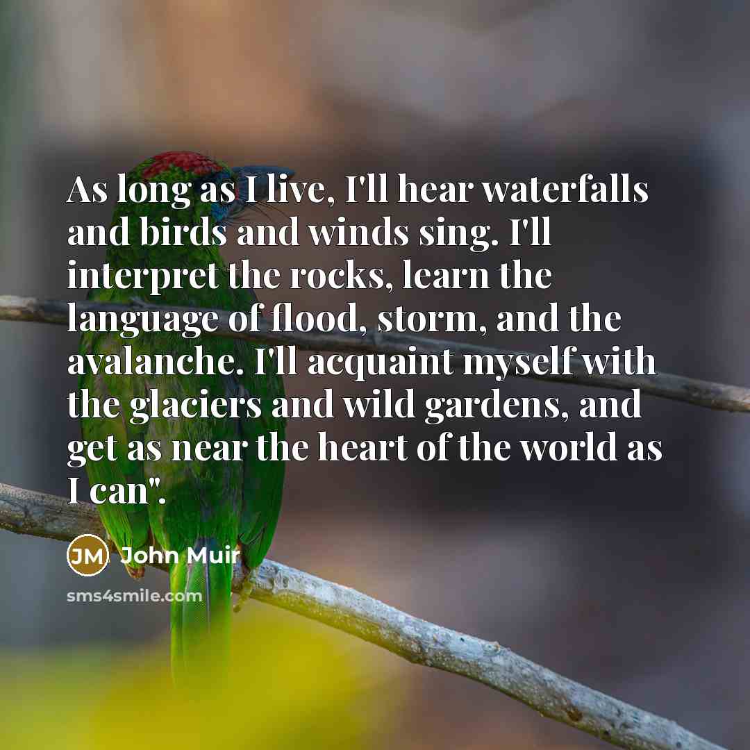 “As long as I live, I'll hear waterfalls and birds…” quote by John Muir