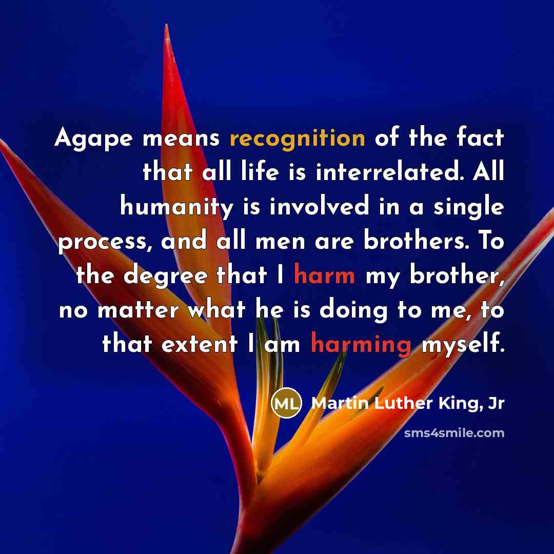 “Agape means recognition of the fact that all life is…” quote by Martin Luther King, Jr