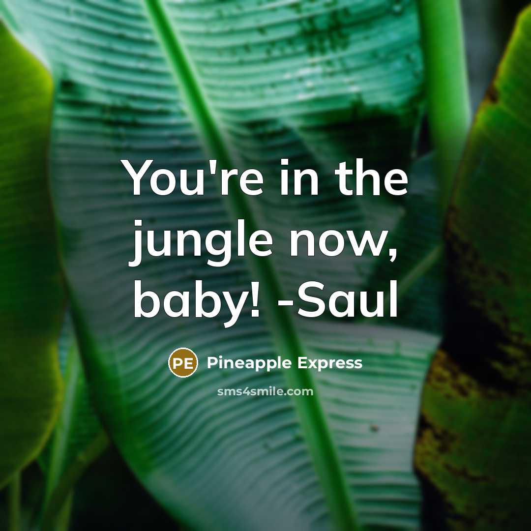 “You're in the jungle now, baby! -Saul” quote by Pineapple Express