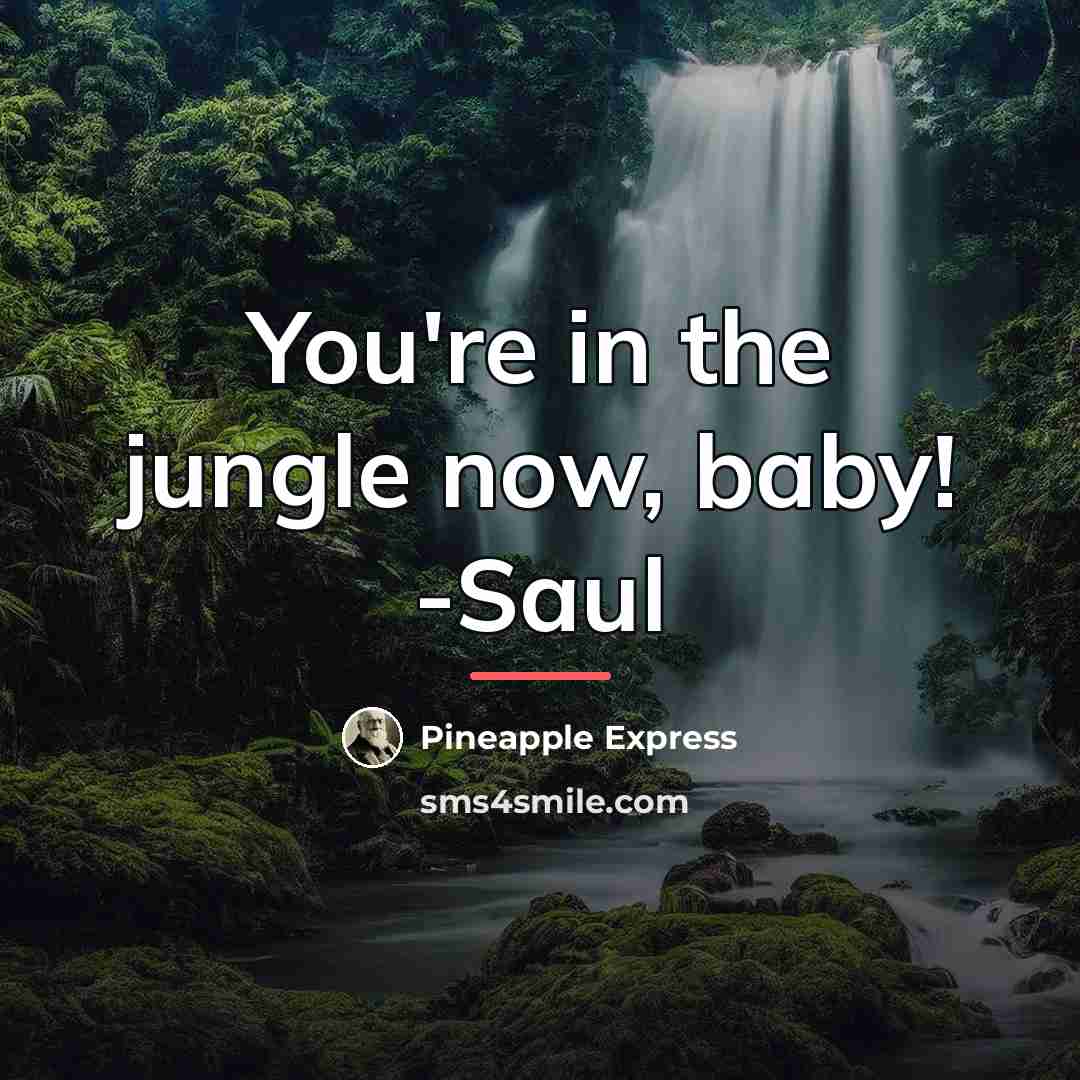 “You're in the jungle now, baby! -Saul…” quote by Pineapple Express
