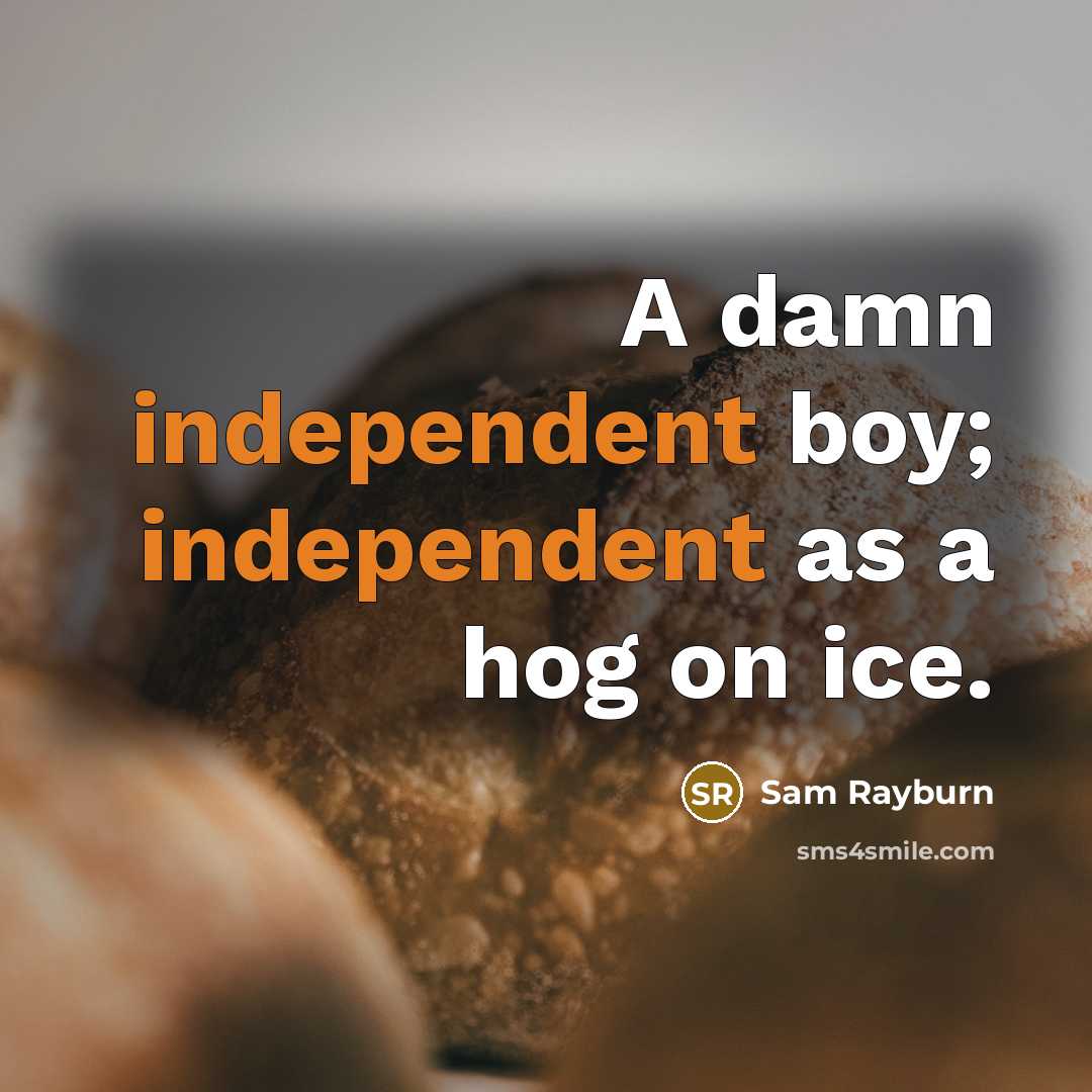 “A damn independent boy; independent as a hog on ice.…” quote by Sam Rayburn