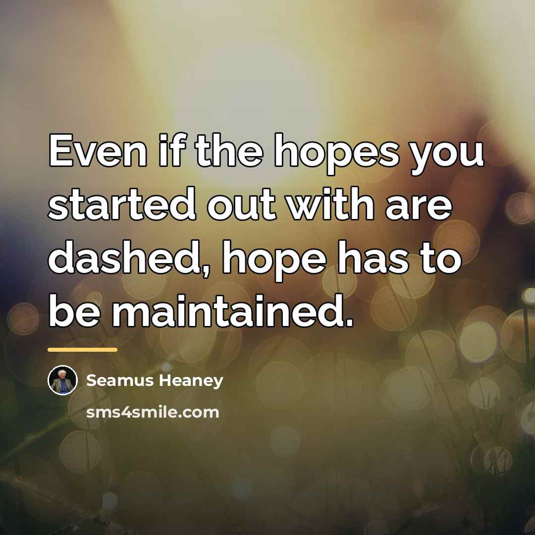 “Even if the hopes you started out with are dashed,…” quote by Seamus Heaney