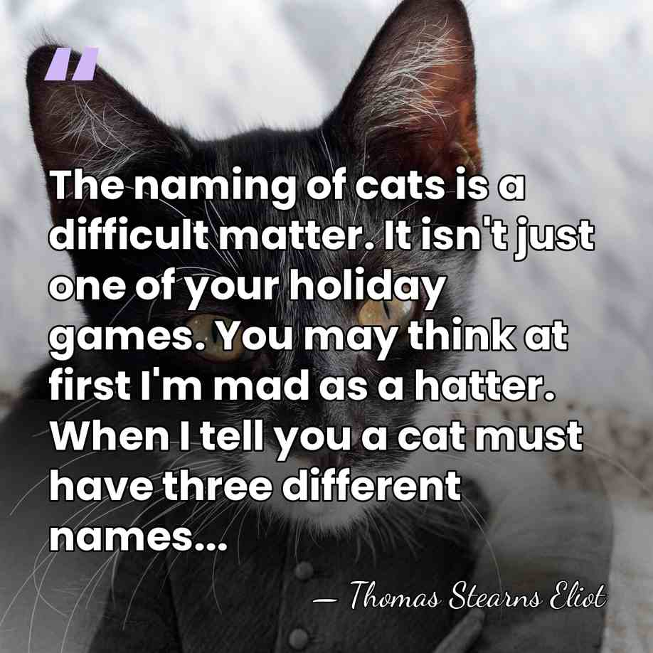The naming of cats is a difficult matter. It isn't just one&hellip; - Thomas Stearns Eliot
