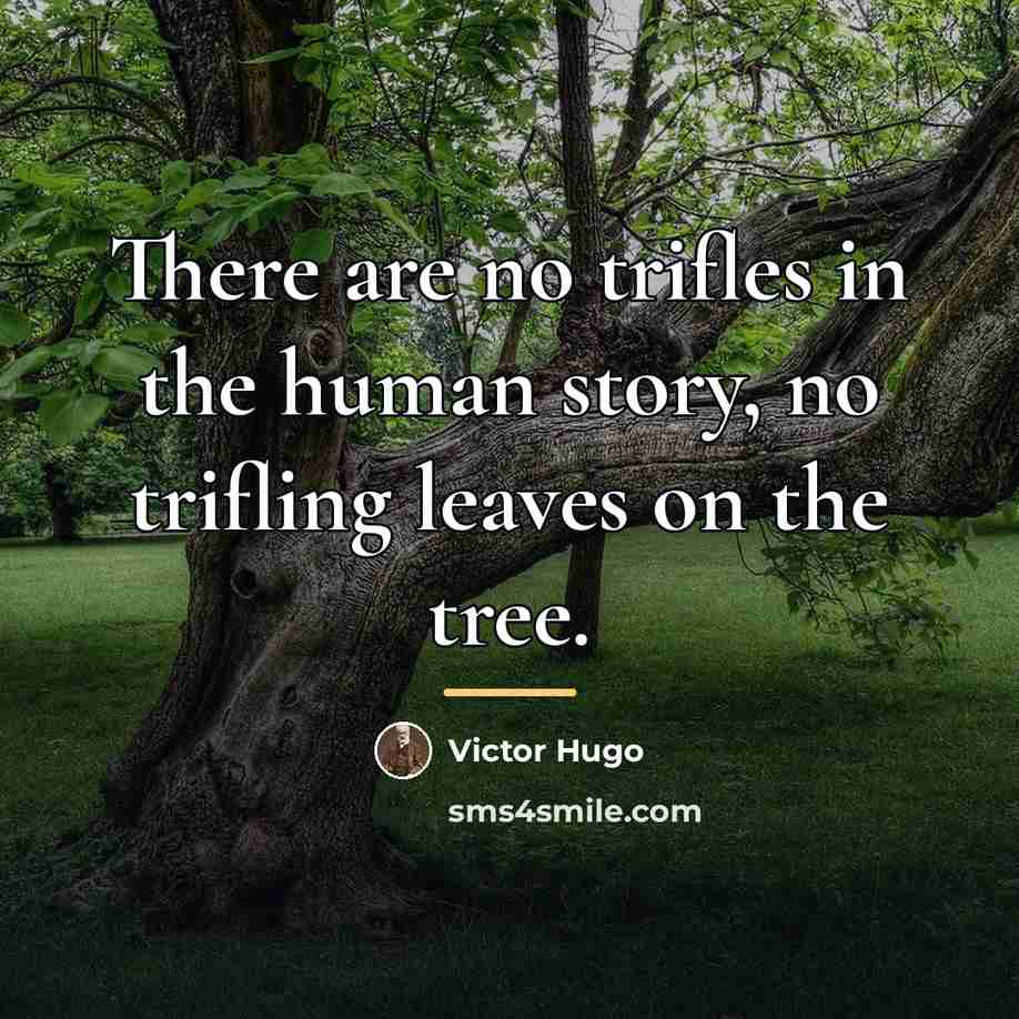 “There are no trifles in the human story, no trifling…” quote by Victor Hugo