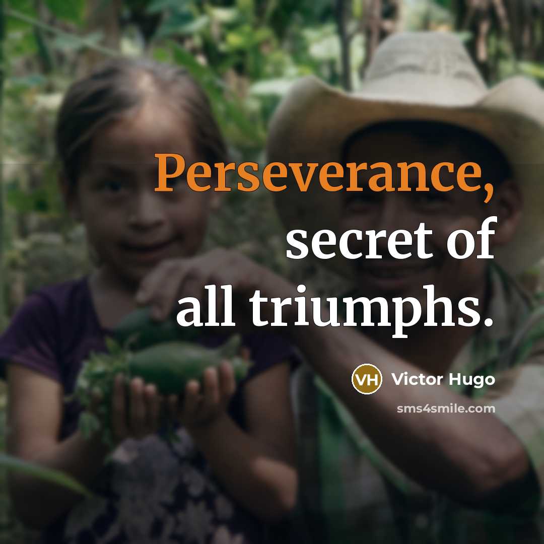 “Perseverance, secret of all triumphs.…” quote by Victor Hugo