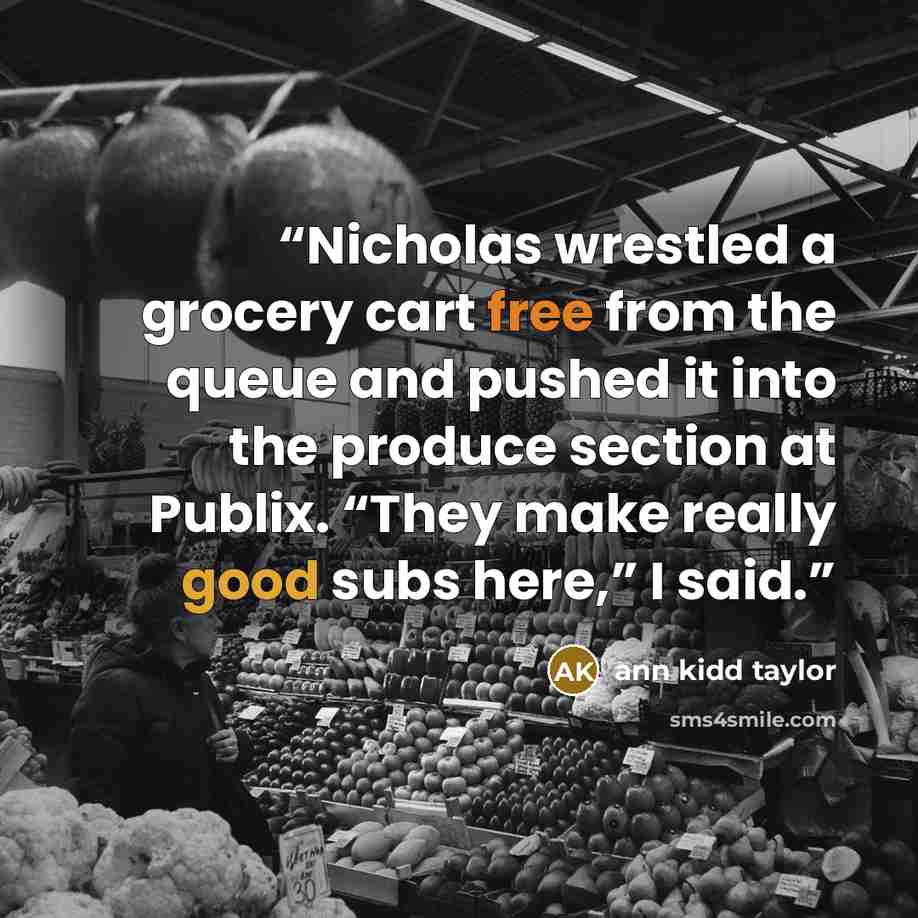 “Nicholas wrestled a grocery cart free from the queue and pushed it into the produce section at Publix. “They make really good subs here,” I said.” quote by Ann Kidd Taylor