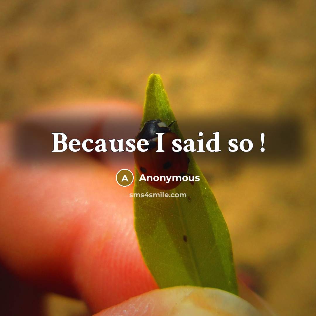 “Because I said so !” quote by Anonymous