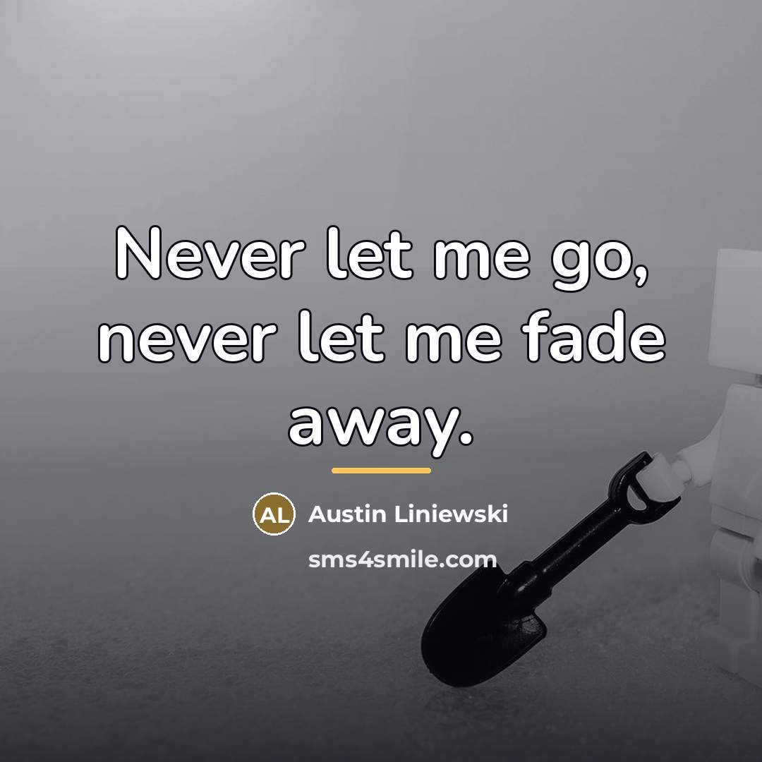 “Never let me go, never let me fade away.…” quote by Austin Liniewski
