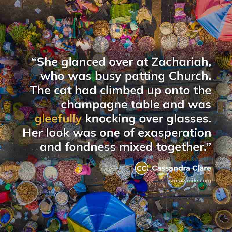 “She glanced over at Zachariah, who was busy patting Church. The cat had climbed up onto the champagne table and was gleefully knocking over glasses. Her look was one of exasperation and fondness mixed together.” quote by Cassandra Clare
