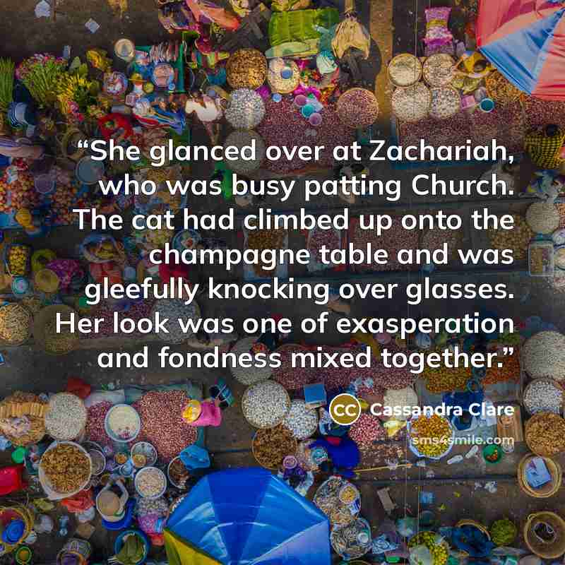 “She glanced over at Zachariah, who was busy patting Church. The cat had climbed up onto the champagne table and was gleefully knocking over glasses. Her look was one of exasperation and fondness mixed together.” quote by Cassandra Clare