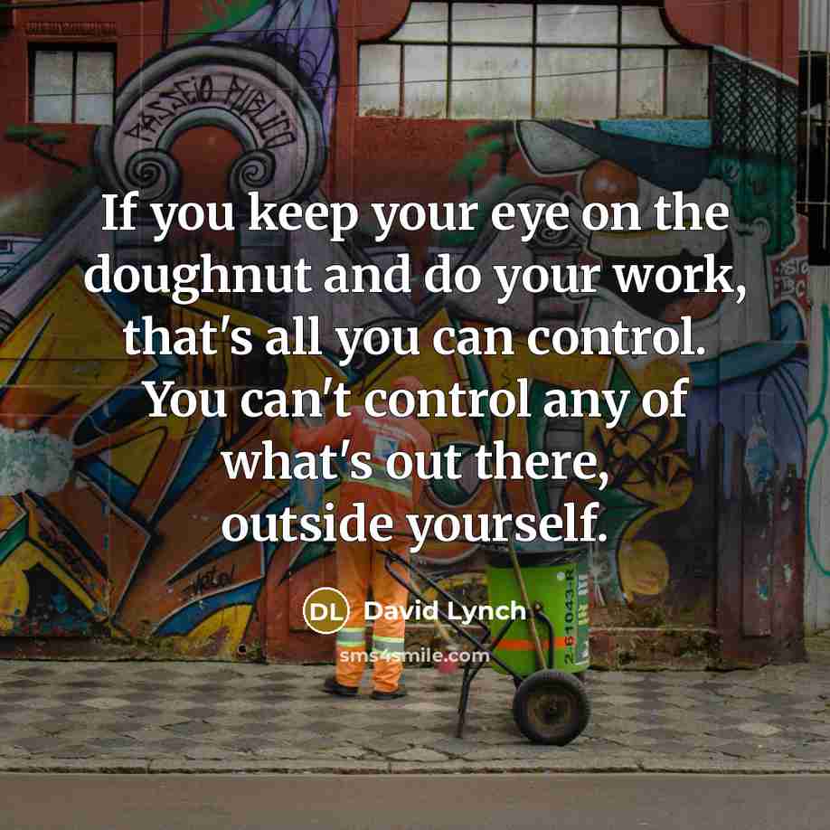 “If you keep your eye on the doughnut and do your work, that's all you can control. You can't control any of what's out there, outside yourself.” quote by David Lynch