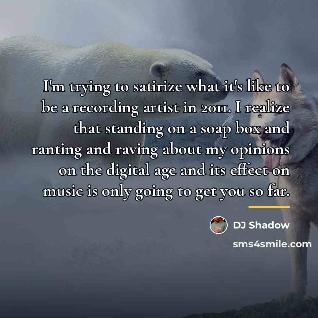 “I'm trying to satirize what it's like to be a…” quote by DJ Shadow